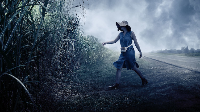 In the Tall Grass stephen king