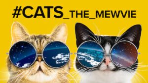 #Cats_the_mewvie