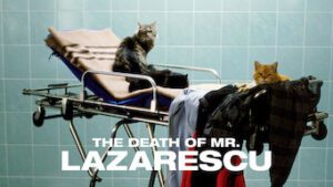 The Death of Mr. Lazarescu