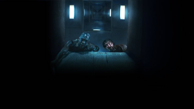 the platform netflix film