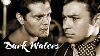 Dark Waters Se Dark Waters på Netflix