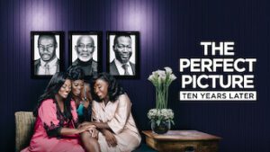The Perfect Picture: Ten Years Later