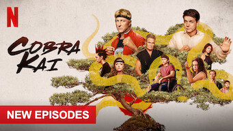 Cobra Kai Cobra Kai på Netflix