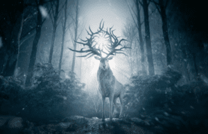 shadow bone netflix danmark shadow bone netflix danmark