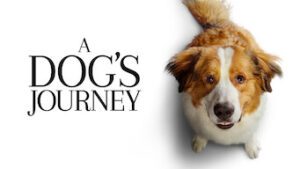 A Dog’s Journey