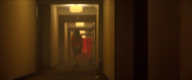 crime scene hotel cecil netflix