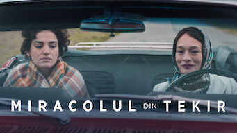 The Miracle of Tekir The Miracle of Tekir på Netflix