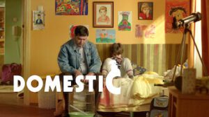 Domestic