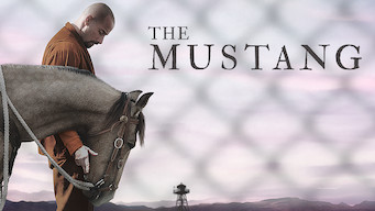 The Mustang The Mustang på Netflix