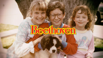 Beethoven Se Beethoven på Netflix