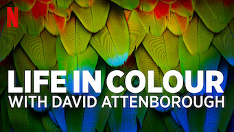 Life in Color with David Attenborough Life in Color with David Attenborough på Netflix