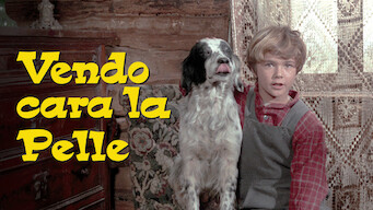 Vendo cara la pelle Vendo cara la pelle på Netflix