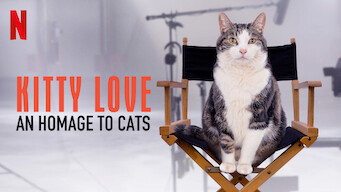 Kitty Love: An Homage to Cats Kitty Love: An Homage to Cats på Netflix