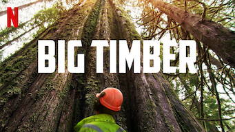 Big Timber Se Big Timber på Netflix