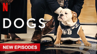 Dogs Dogs på Netflix
