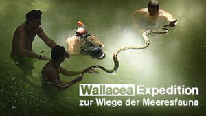 Wallacea – Marinelivets vugge