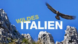 Vilde Italien