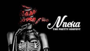 Nneka The Pretty Serpent