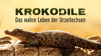 Krokodillen: Krybdyrets skjulte adfærd Se Krokodillen: Krybdyrets skjulte adfærd på Netflix