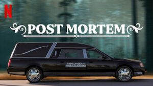 Post Mortem: No One Dies in Skarnes