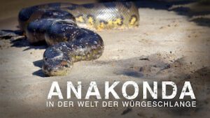 Anakonda: Lydløs morder