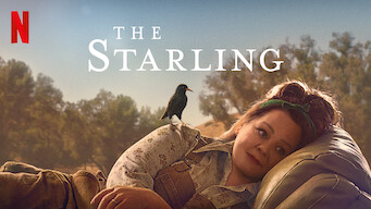 The Starling The Starling på Netflix