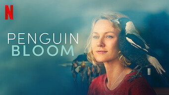 Penguin Bloom Se Penguin Bloom på Netflix
