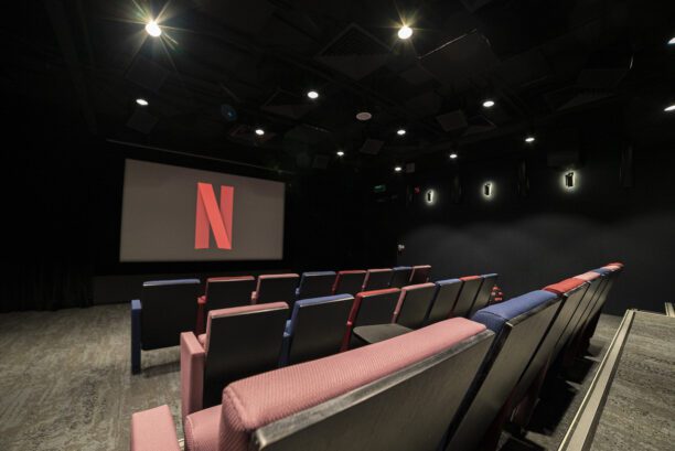 netflix dr