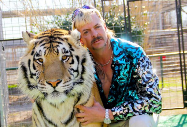 tiger king 2 netflix