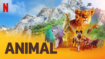 Animal Se Animal på Netflix