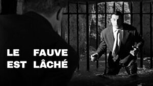 Le fauve est lâché