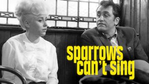 Sparrows Can’t Sing