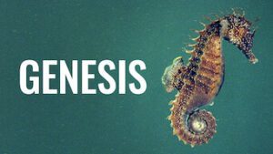 Genesis