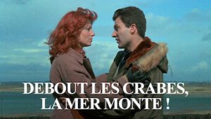 Debout les crabes, la mer monte!