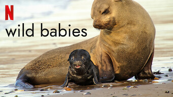 Wild Babies Wild Babies på Netflix