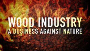 Wood Industry: A Business Against Nature