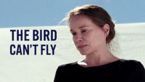 The Bird Can’t Fly