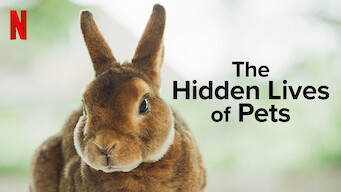 The Hidden Lives of Pets The Hidden Lives of Pets på Netflix