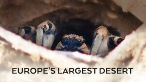 Europe’s Largest Desert