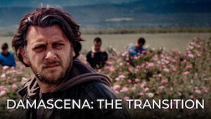 Damascena: The Transition