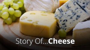 Story of…Cheese