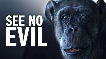 See No Evil See No Evil på Netflix