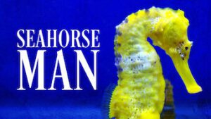 Seahorse Man