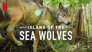Island of the Sea Wolves
