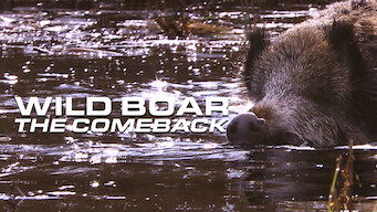 Wild Boar: The Comeback Wild Boar: The Comeback Netflix