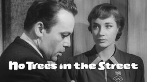 No Trees in the Street