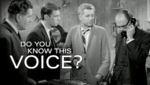 Do You Know This Voice?