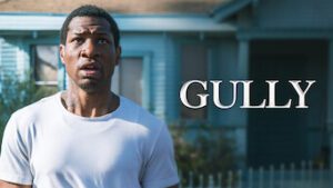 Gully