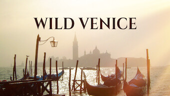 Wild Venice Wild Venice Netflix