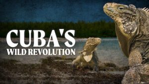 Cuba’s Wild Revolution